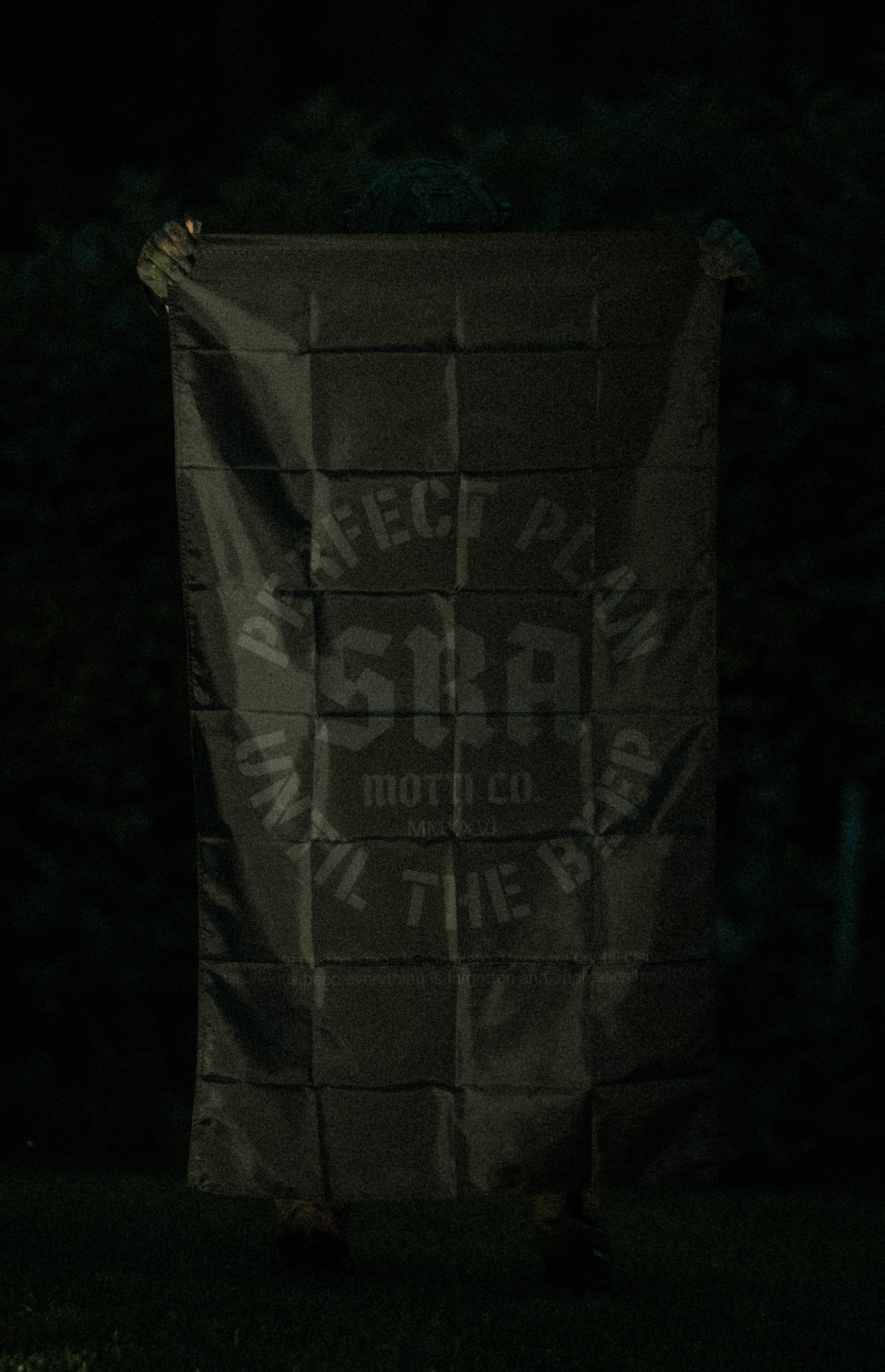 Perfect Plan Flag